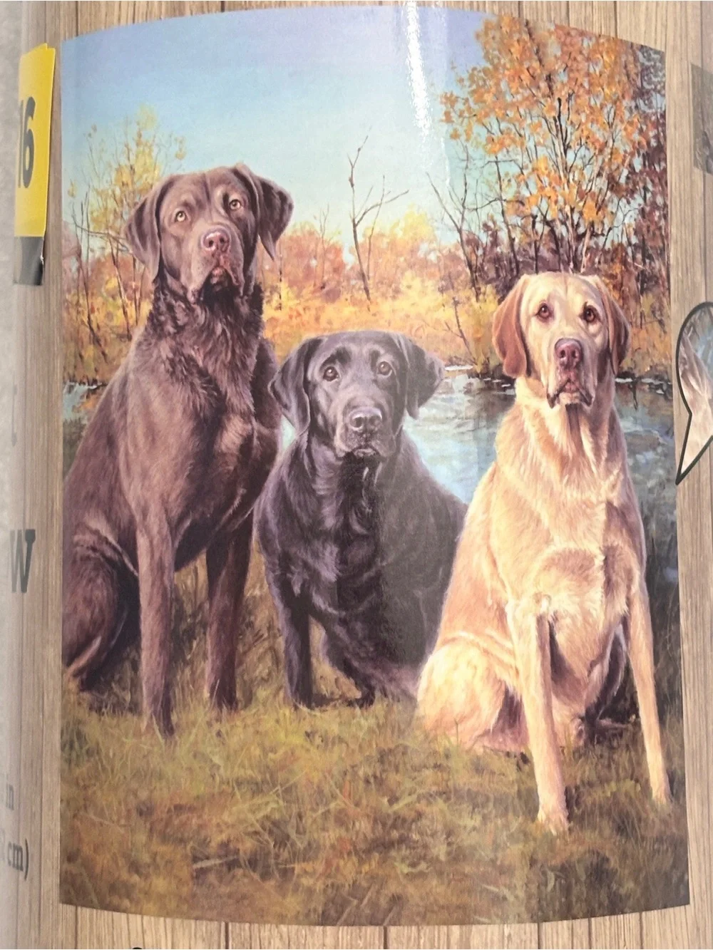 Plush Fleece Labrador Dogs Blanket Throw in Rustic Brown, Green and Blue